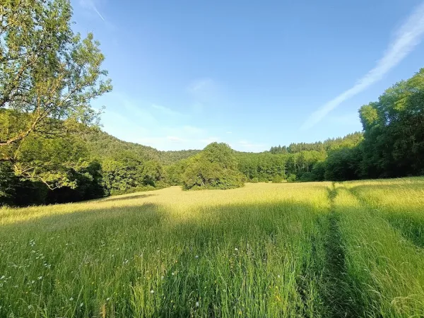 Bild von Steven Den Hartog