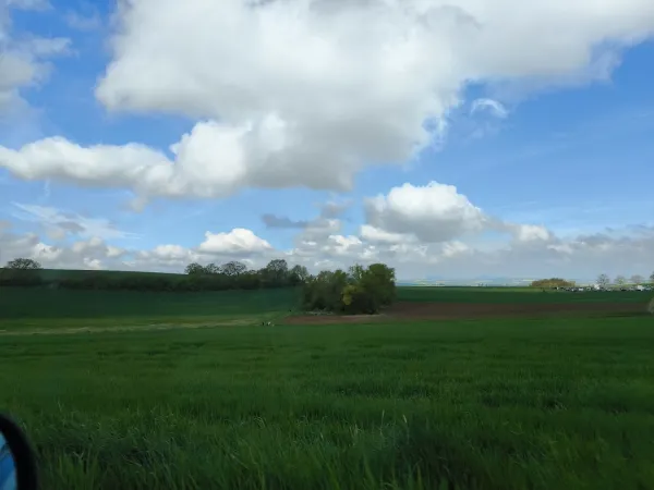 Bild von Liudmyla Karpets (LusiKa)