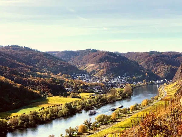 Bild von undefined