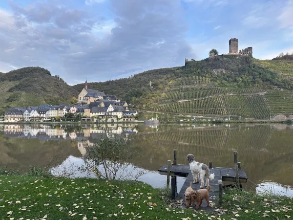 Bild von undefined