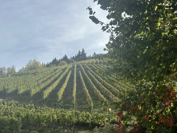 Bild von undefined