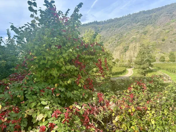 Bild von undefined