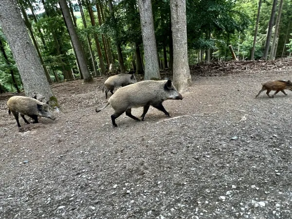 Bild von undefined