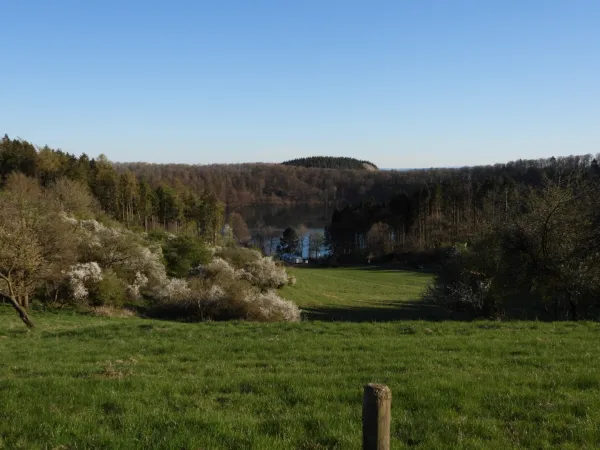 Bild von undefined