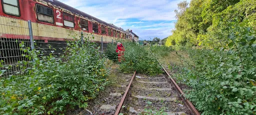Bild von Stellwerk Daun