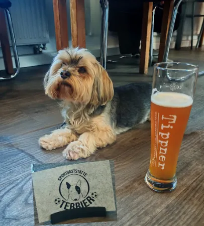 Bild von Sportgaststätte "Terrier" ( Sportlerheim Bockau )