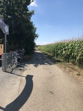 Bild von Clubhaus der Hundefreunde