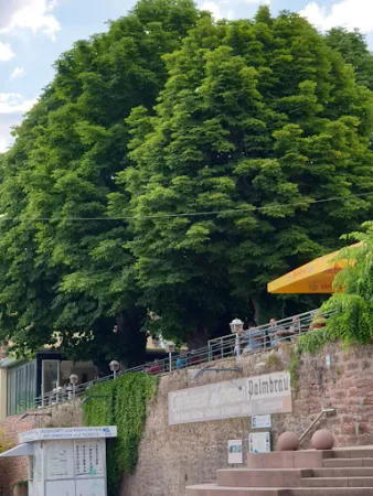 Bild von Gasthaus zum Schwanen und Schwanengarten