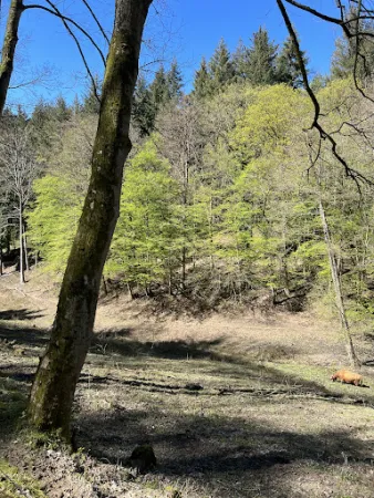 Bild von Naturfreundehaus Schriesheimer Huette