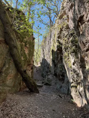 Bild von Naturfreundehaus Schriesheimer Huette