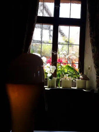 Bild von Zur Sonne