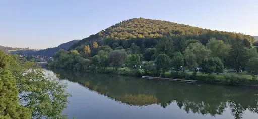 Bild von Restaurant "Zum Schiff" Neckarsteinach