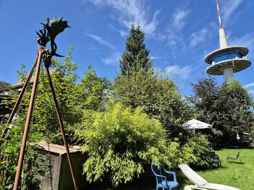 Bild von Höhengaststätte Zum Weißen Stein