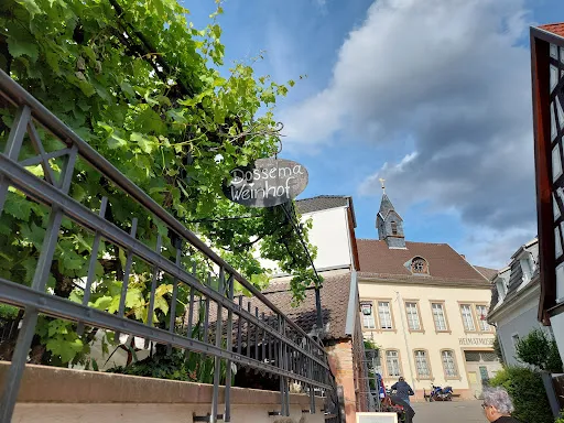 Bild von Dossema Weinhof Familie Mühlbauer