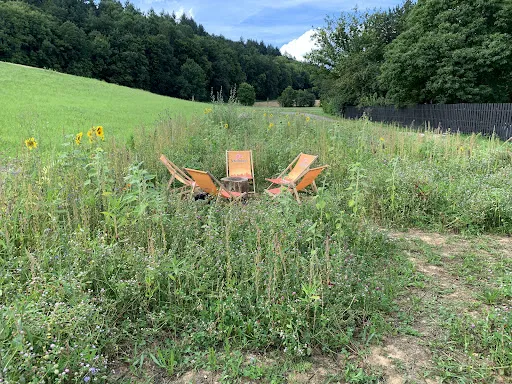 Bild von RS Biergarten