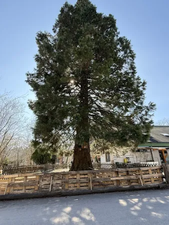 Bild von Naturfreundehaus Herrenberg