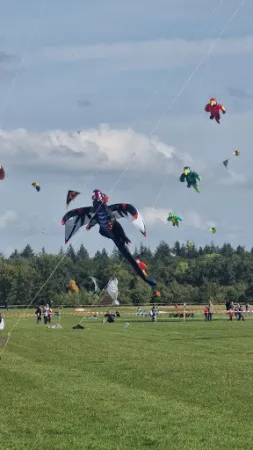 Bild von Fliegerschänke Malmsheim