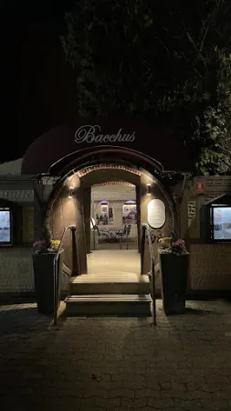 Bild von Bacchus 1 in Arnum / Hemmingen - 𝗴𝗿𝗶𝗲𝗰𝗵𝗶𝘀𝗰𝗵𝗲𝘀 𝗥𝗲𝘀𝘁𝗮𝘂𝗿𝗮𝗻𝘁