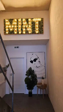 Bild von Mint - happiness in a bowl