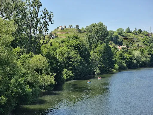 Bild von Uferstüble Biergarten