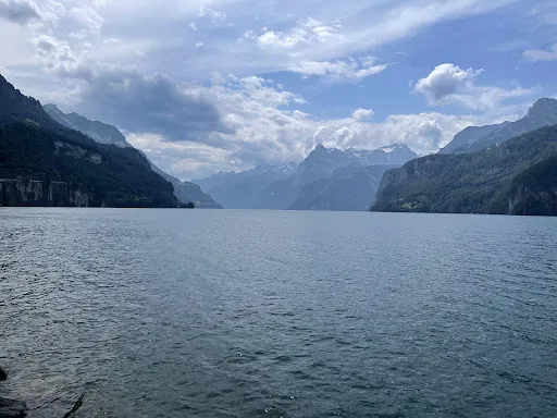 Bild von Restaurant Bellevue