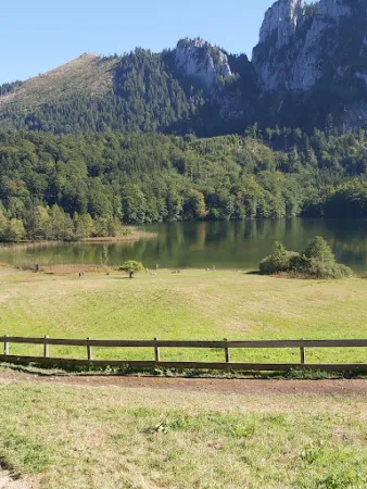 Bild von Ramsaualm am Laudachsee