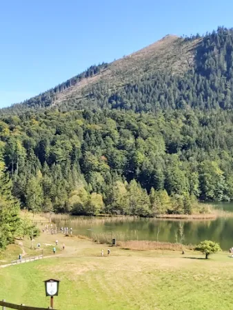 Bild von Ramsaualm am Laudachsee