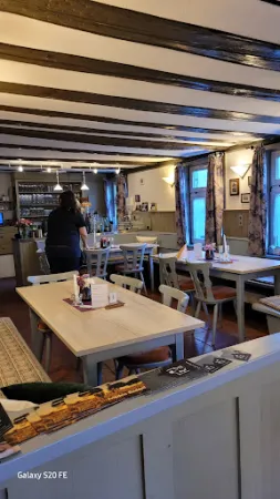 Bild von Ochsen