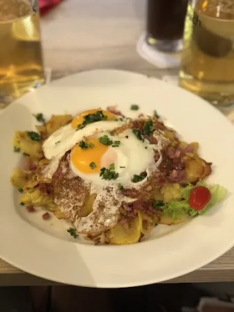 Bild von Ochsen