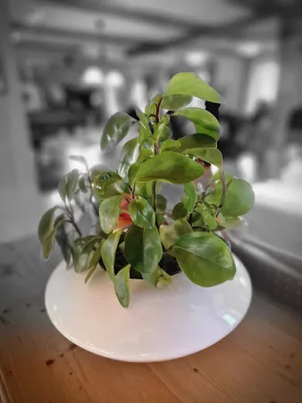 Bild von Hotel Post & Restaurant