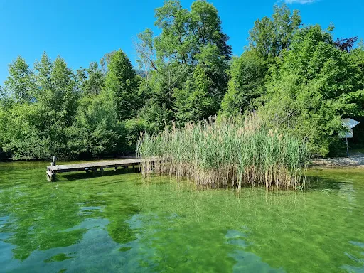 Bild von Badebuffet Bräuwiese