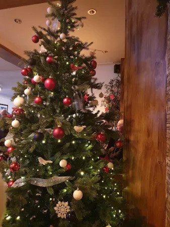 Bild von Oasis Bistro