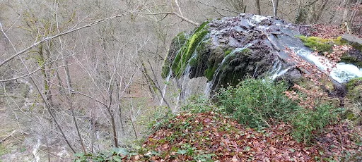 Bild von Maisentalstüble