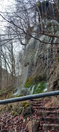 Bild von Maisentalstüble