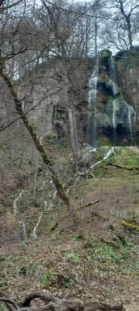 Bild von Maisentalstüble