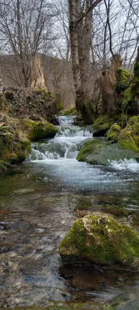 Bild von Maisentalstüble