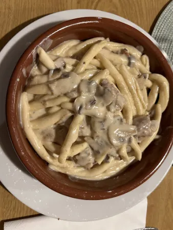 Bild von Storchennest