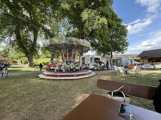 Bild von Schwanen Garten