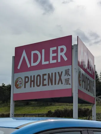 Bild von China Restaurant Phönix