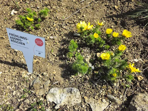 Bild von ALB-GOLD Kundenzentrum