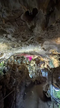 Bild von Bärenhöhle