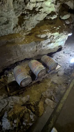 Bild von Bärenhöhle