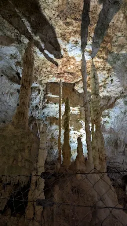 Bild von Bärenhöhle