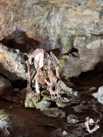 Bild von Bärenhöhle