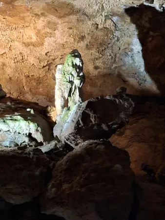 Bild von Bärenhöhle