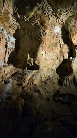Bild von Bärenhöhle