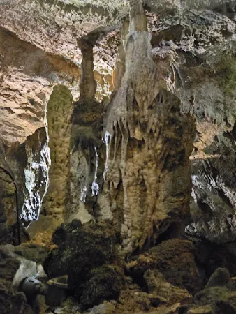 Bild von Bärenhöhle
