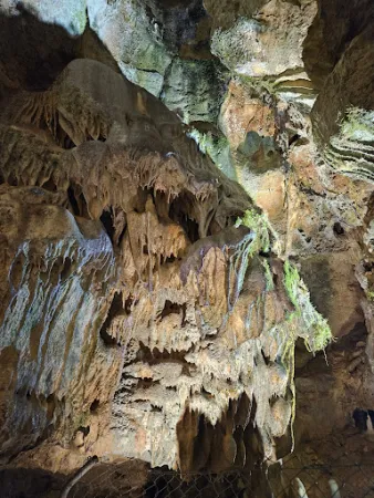 Bild von Bärenhöhle