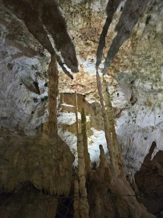 Bild von Bärenhöhle