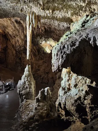 Bild von Bärenhöhle